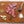 Load image into Gallery viewer, Smoked & dried sausage with bison & humanely-raised pork without added hormones or antibiotics. Smoke, pepper, garlic & caraway.